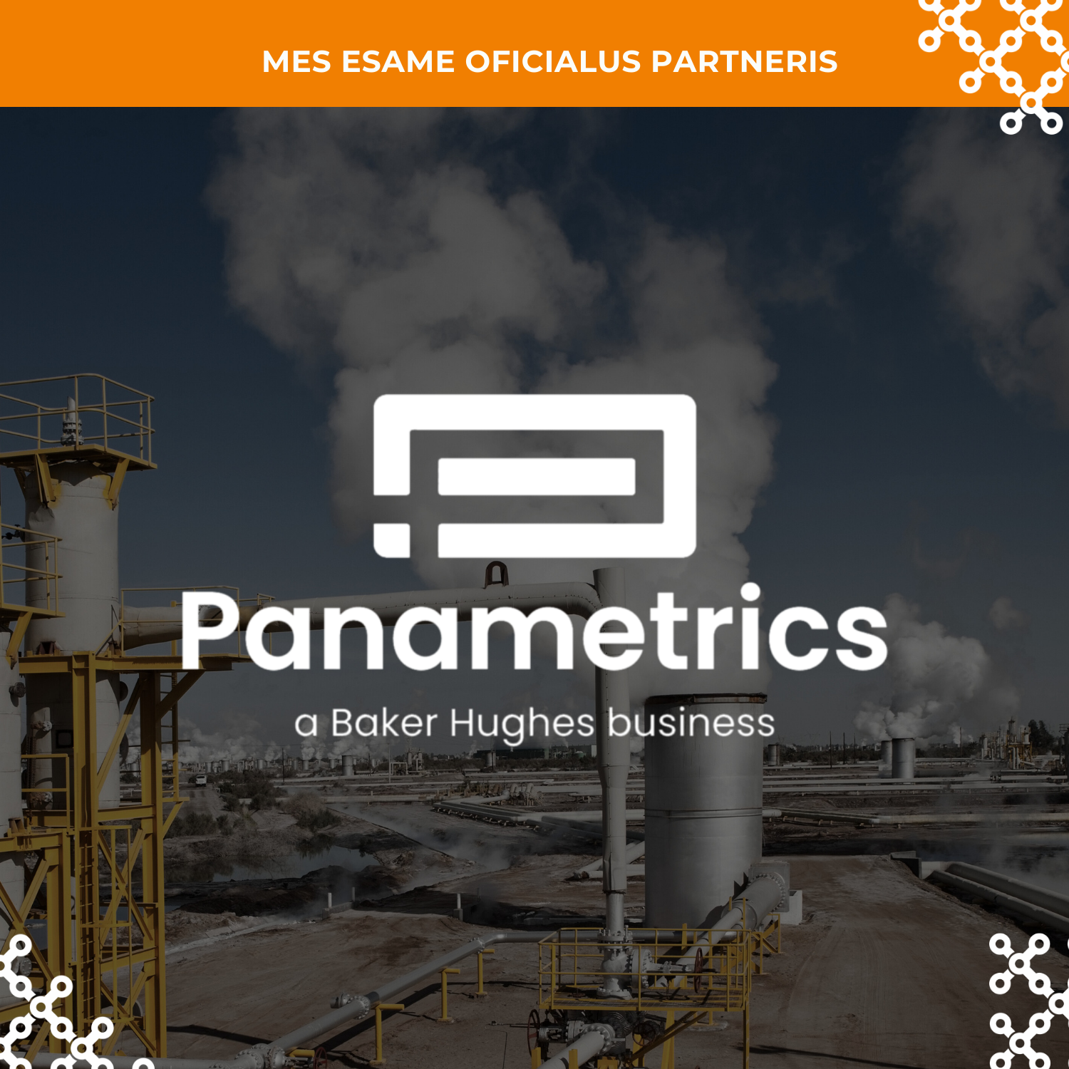 Partnerystė su „Panametrics“: pažangios technologijos ir kokybė